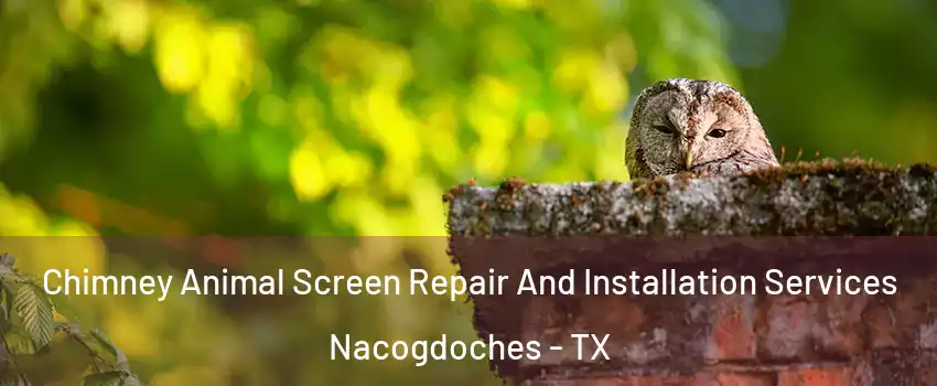  Chimney Animal Screen Repair And Installation Services Nacogdoches - TX