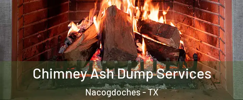 Chimney Ash Dump Services Nacogdoches - TX