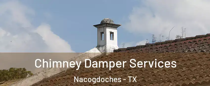  Chimney Damper Services Nacogdoches - TX