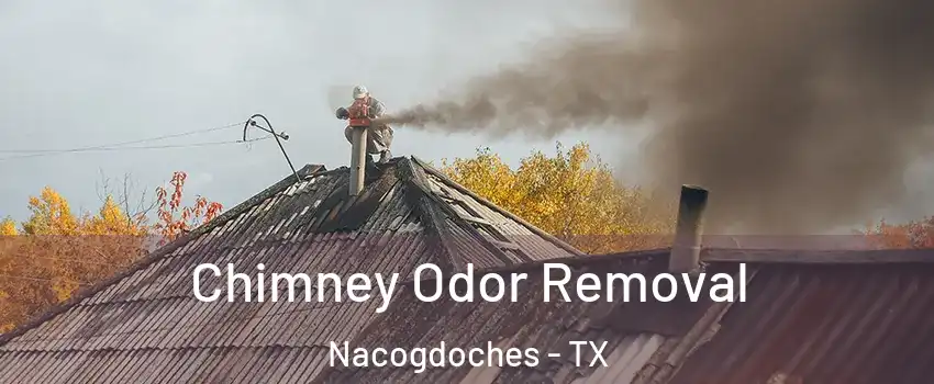  Chimney Odor Removal Nacogdoches - TX
