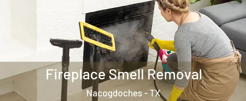  Fireplace Smell Removal Nacogdoches - TX
