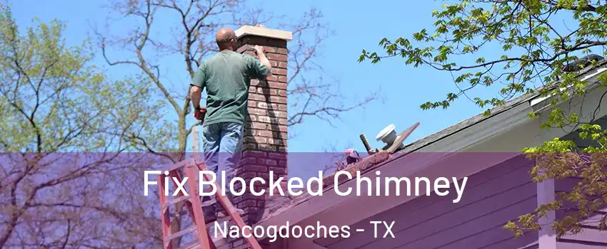 Fix Blocked Chimney Nacogdoches - TX