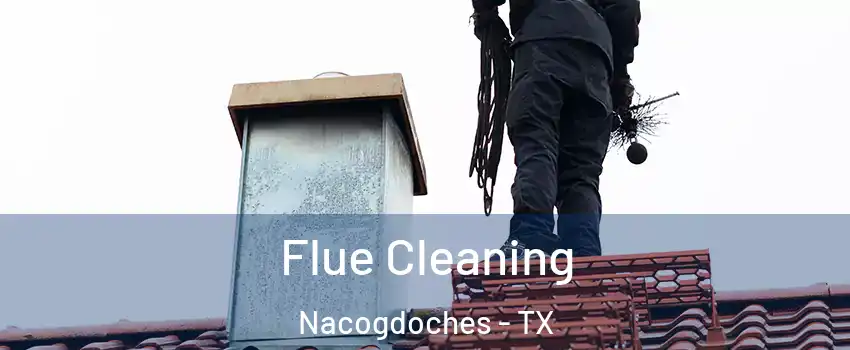  Flue Cleaning Nacogdoches - TX