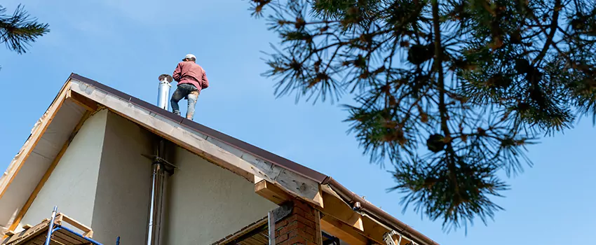 Birds Removal Contractors from Chimney in Nacogdoches, TX