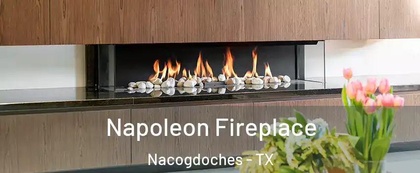  Napoleon Fireplace Nacogdoches - TX